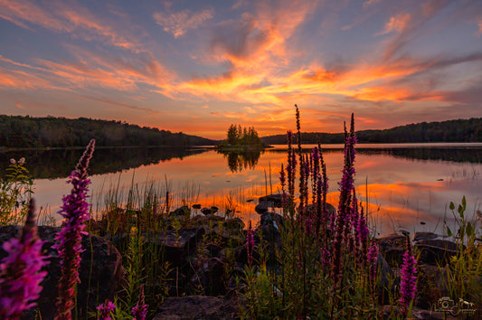 Canvas - Depot Lake 11