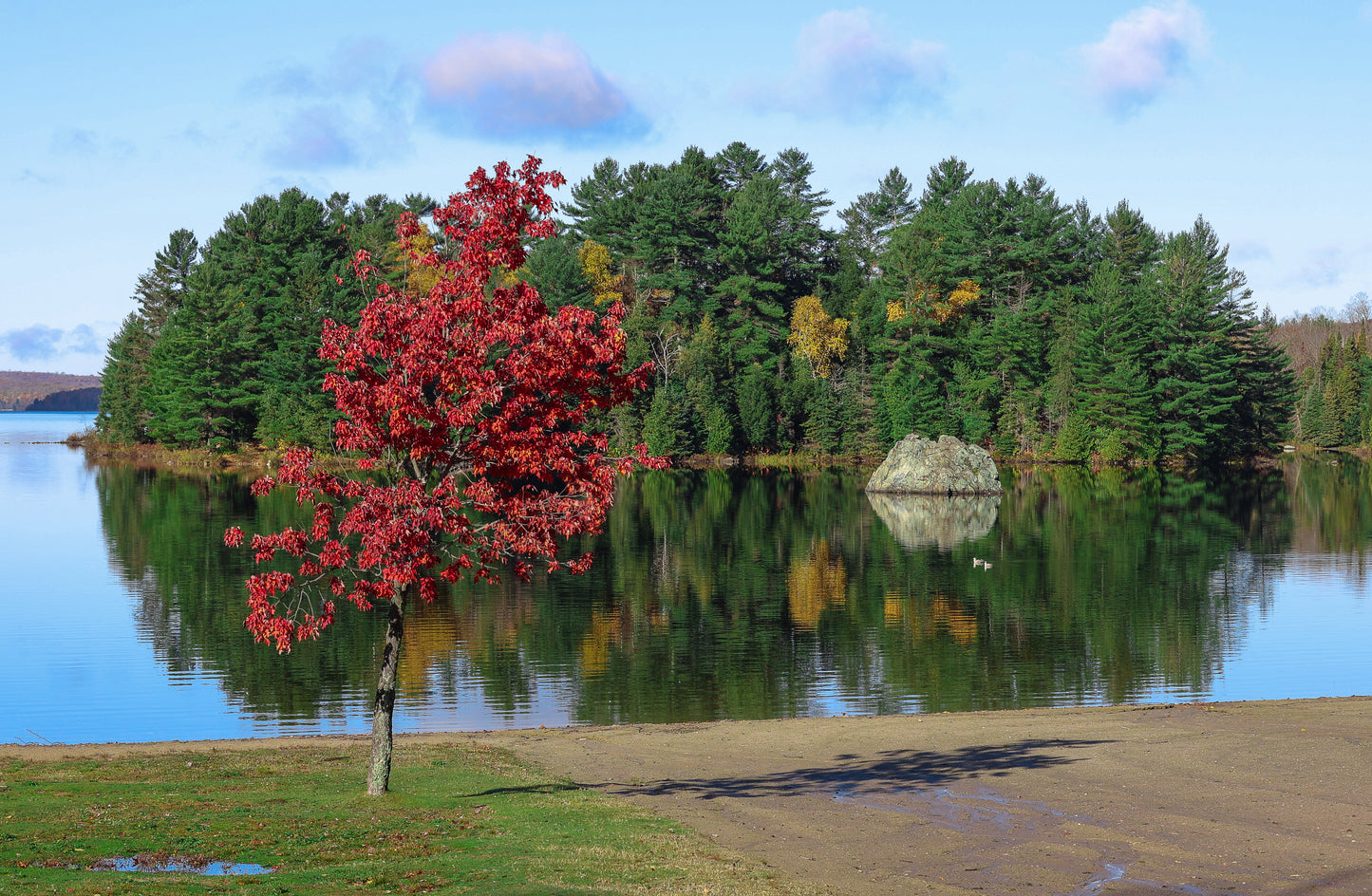 Canvas - The Rock - Spruce Beach 22