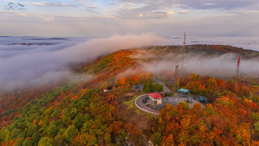 Canvas - Fire Tower Fog 1
