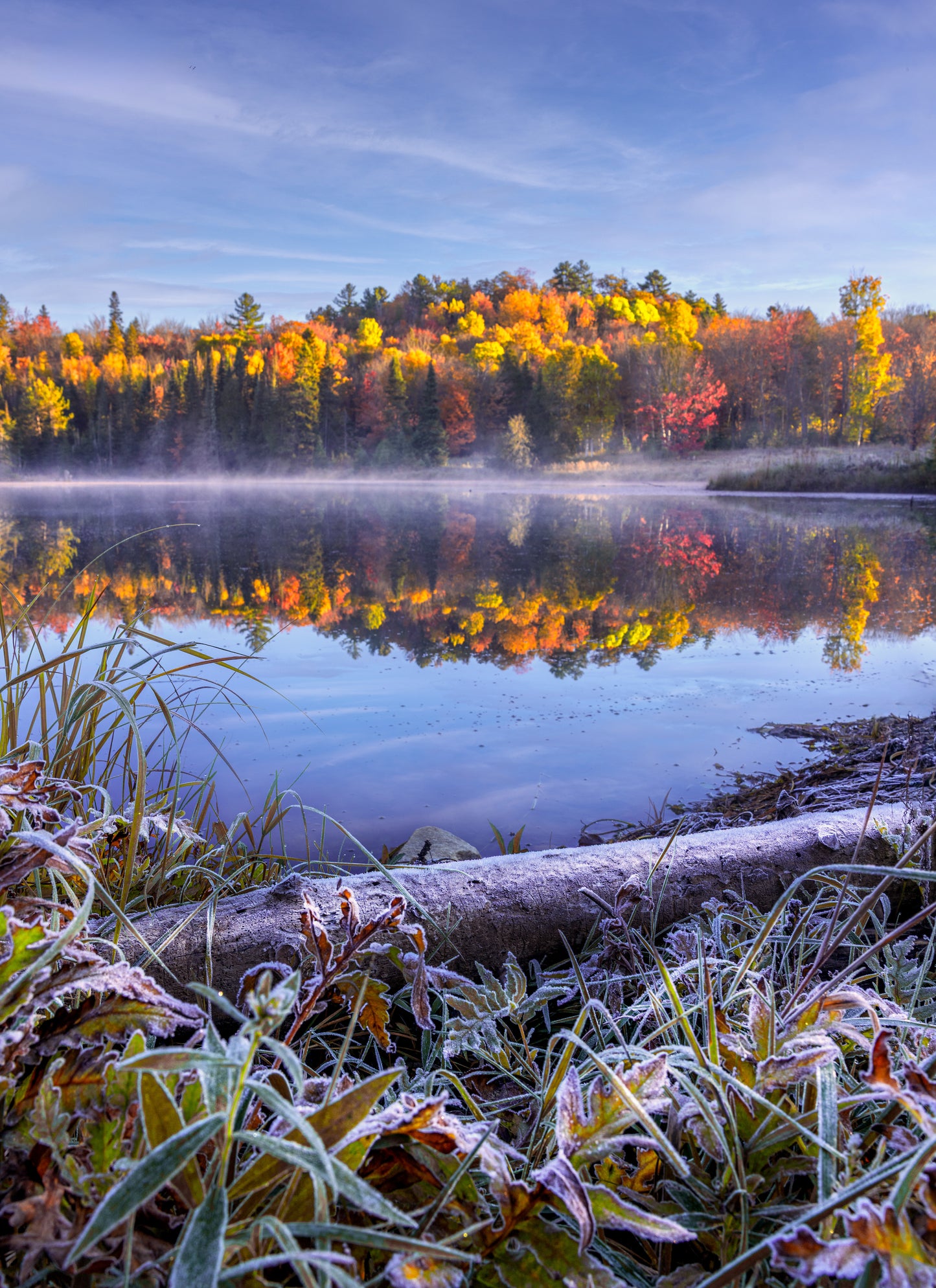 Canvas - Frosty Fall