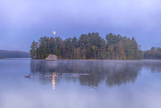 Canvas - Moonlit Geese at The Rock