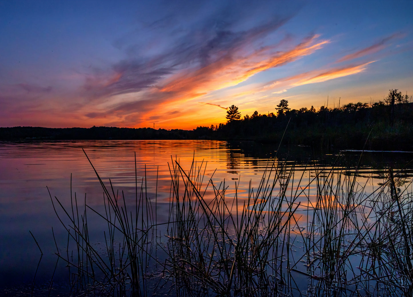 Canvas - Porridge Lake Blue Hour