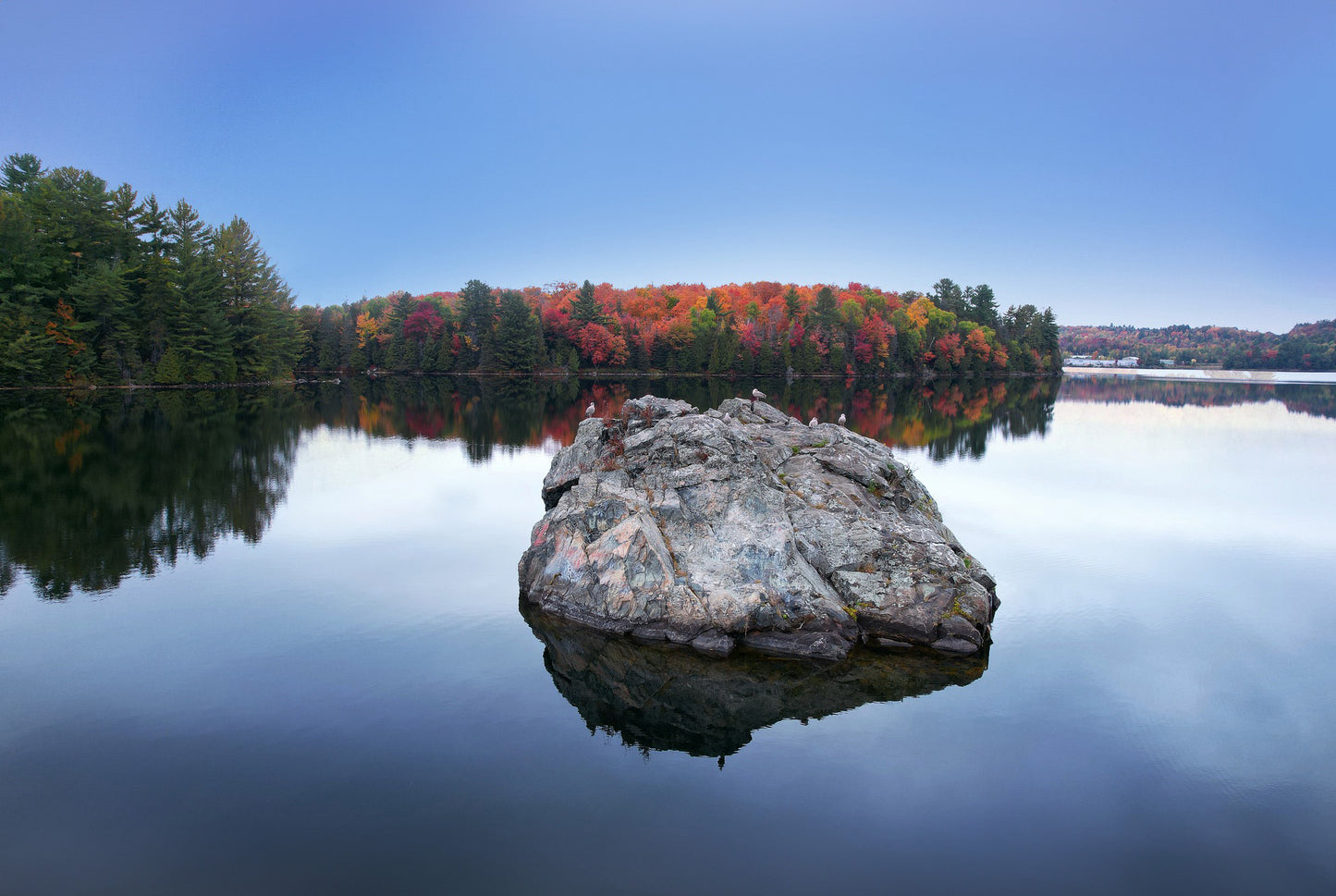 Canvas - The Rock - Spruce Beach 5