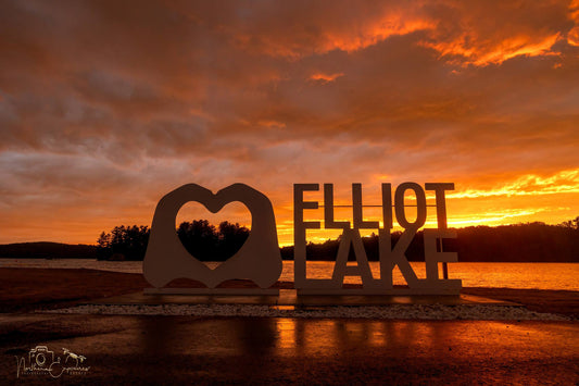 Canvas - Elliot Lake Sign 7