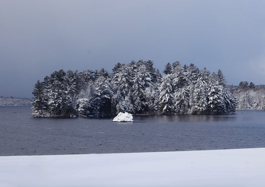 Canvas - The Rock - Spruce Beach 6